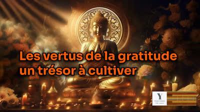 Les vertus de la gratitude : un trésor à cultiver