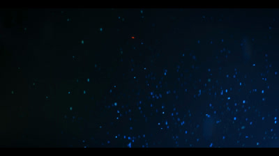 T 1 - EP 08 (Armored Core: Gestão de ativos)