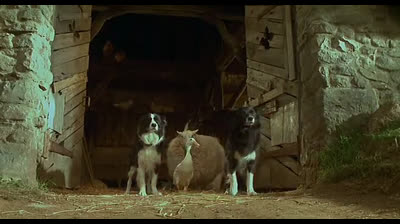 Babe, le cochon dans la ville