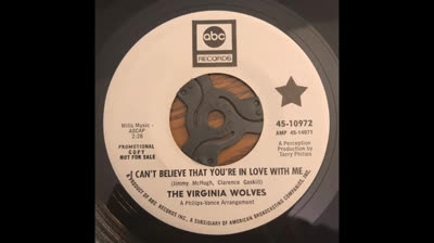 Virginia Wolves (1967) - I Can't Believe That You're In Love With Me