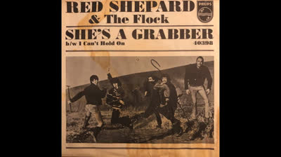 Red Shepard & The Flock (1966) - I Can't Hold On