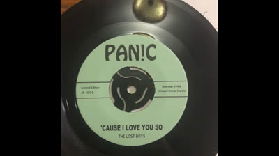 Lost Boys (1966) - 'Cause I Love You So