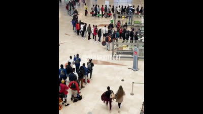 ¿Cuando han votado los españoles pagarle el vuelo a miles de africanos ilegales y llevarlos a hoteles pagados por el gobierno?