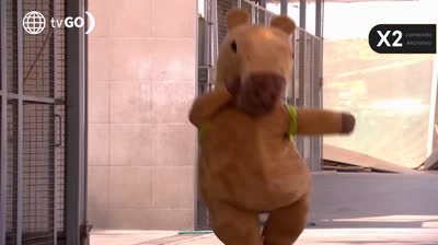 ¡Ampay! Mira al capibara bailando a escondidas de los Gonzales