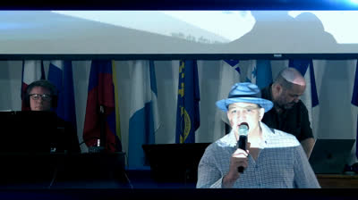 La excelente aventura electroacústica de Seth y Gene / Reverberant Margin / Awakening Your Inner Schizo