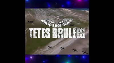 Les Têtes brûlées (série télévisée)