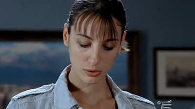 Distretto di Polizia 07x24 agnelli e lupi