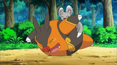 Minccino Tickles Pignite - Pokemon Black & White