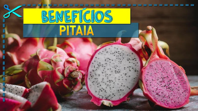 ? Benefícios da Pitaia | Origem, Vitaminas e Receitas