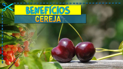 ? Benefícios da Cereja | Origem, Vitaminas e Receitas