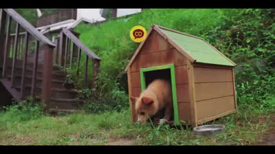 The Potato Lab(Amor en el laboratorio)_S01E04_Este mensaje ha sido borrado(Doblaje Espanol Latino)