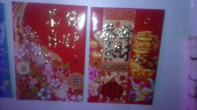 EXPOSING MY DOPPELGANGER FROM HELL.