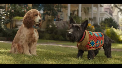 A Dama e o Vagabundo 2019 Dublado Logan