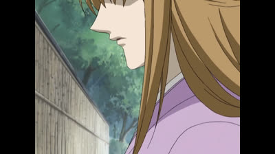 Fruits Basket 2001 VF - épisode 23 : La rencontre de Ritsu